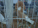 DSC08944