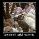 543918_453449964716255_680570771_n