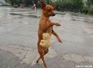 *ia ursul idem poza* Whoaaf !! :)))