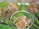 DSCN6177_1657