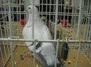 My pictures 062