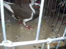 My pictures 085