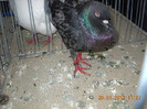 My pictures 087
