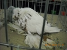 My pictures 089