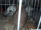 My pictures 090