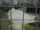 My pictures 091