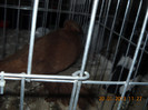 My pictures 092