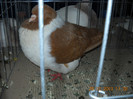 My pictures 097