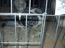 My pictures 099