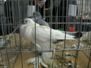My pictures 102