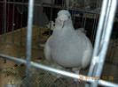 My pictures 108
