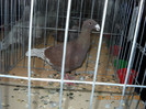 My pictures 110