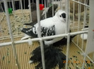 My pictures 111
