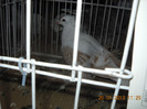 My pictures 113