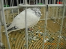 My pictures 115