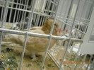My pictures 118