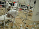 My pictures 119