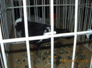 My pictures 123