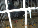 My pictures 126