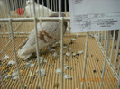 My pictures 129