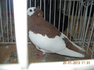 My pictures 135