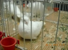 My pictures 136