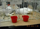 My pictures 138