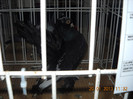My pictures 139