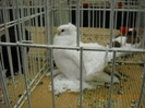 My pictures 140