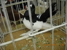 My pictures 144