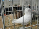 My pictures 147