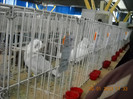 My pictures 148
