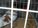 My pictures 149