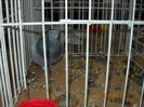 My pictures 150