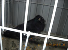 My pictures 154