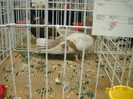 My pictures 153