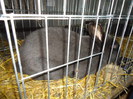 DSC03360