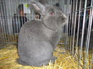 DSC03394