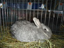 DSC03405