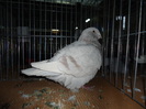 DSC03437