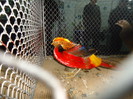 DSC03440