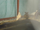 DSC03446