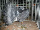 SAM_0717