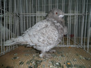 SAM_0748