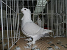 SAM_0749