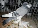 SAM_0750