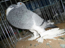 SAM_0756