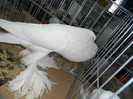 SAM_0757