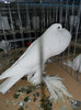 SAM_0758