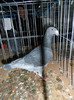 SAM_0761